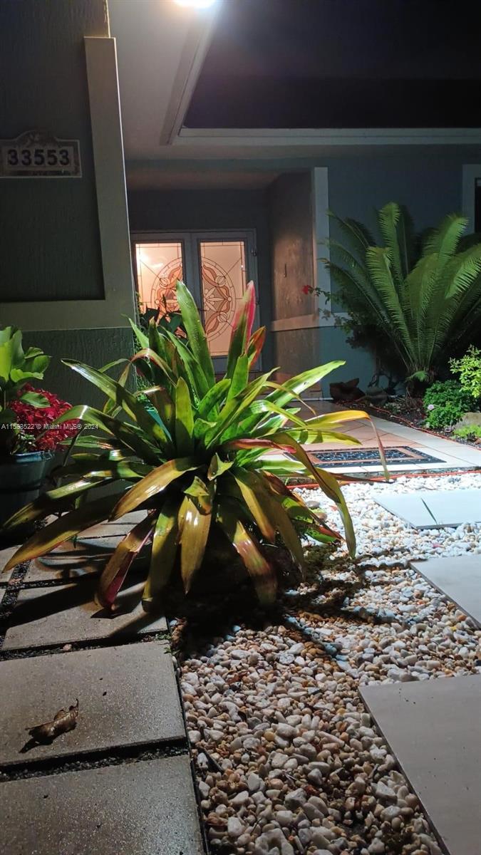 a view of a potted plants in front of a house