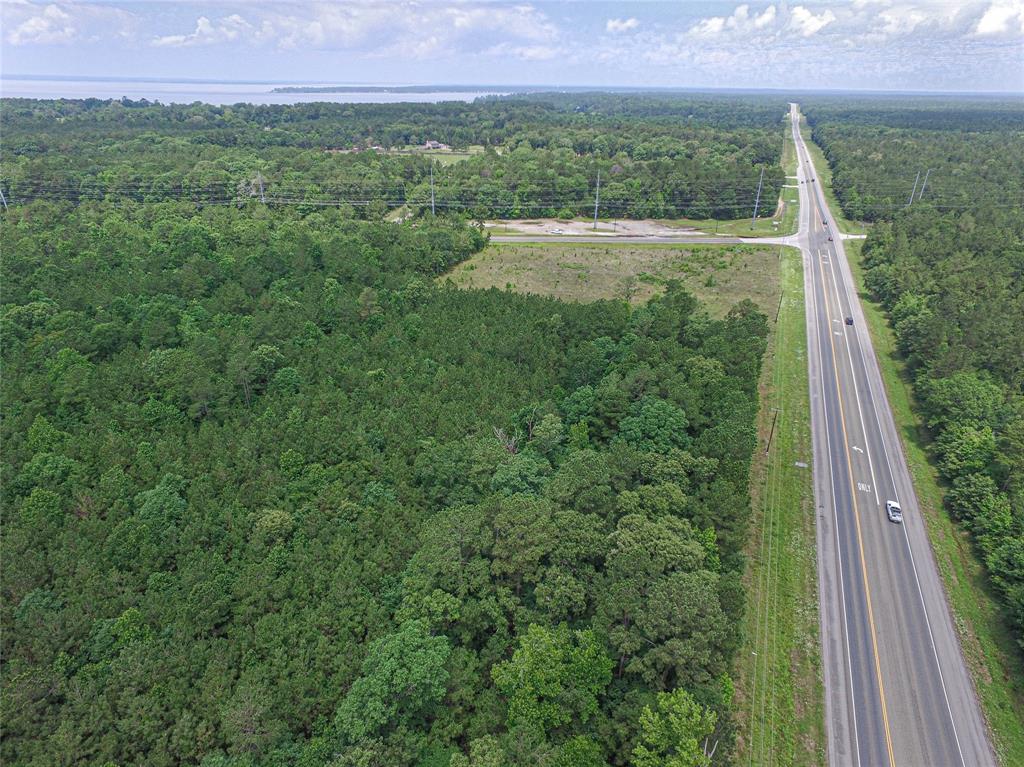 a view of a forest from a balcony