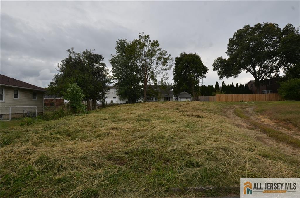 a view of a field with trees in the background