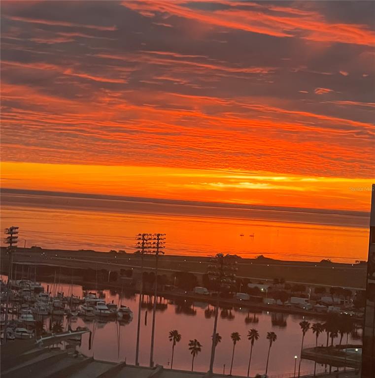 a view of a city with ocean view