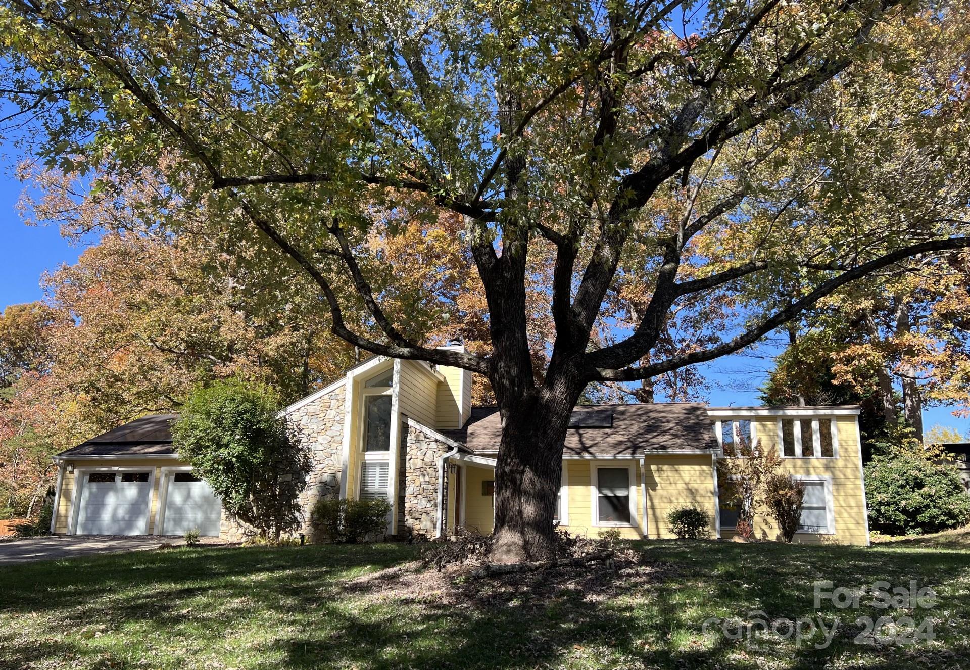 a front view of a house with a yard and large trees