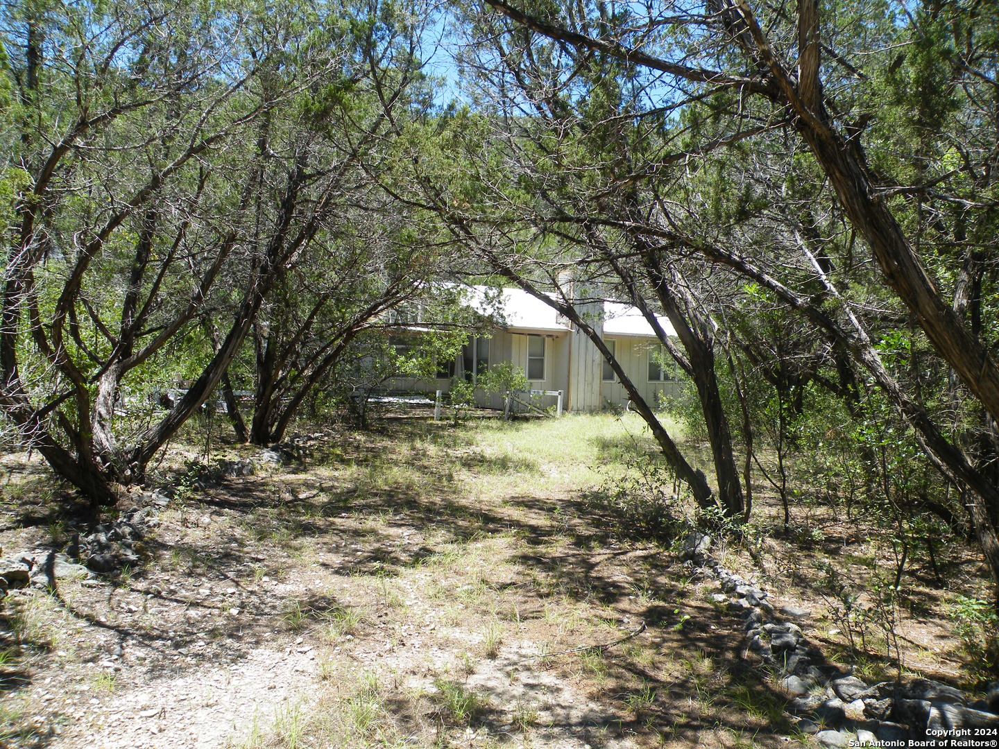 a view of a yard with a tree