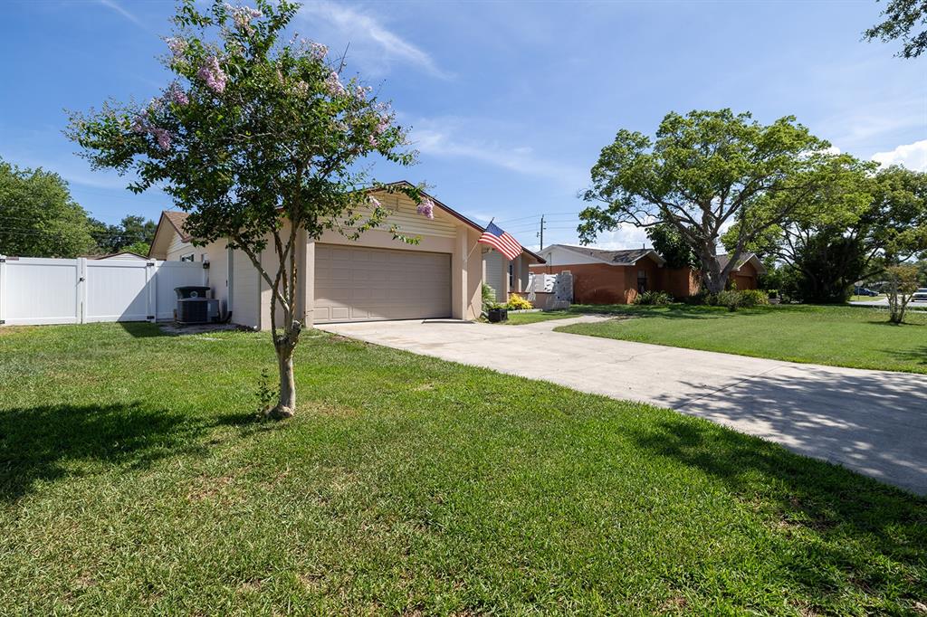 a front view of house with yard and tree in it