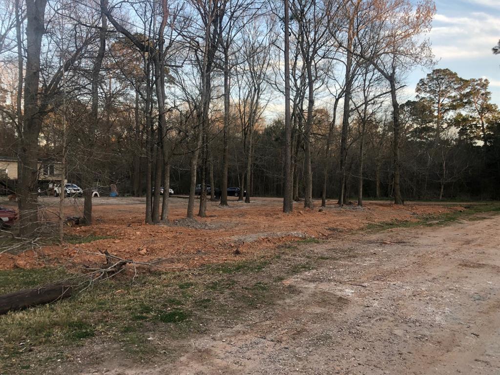 a backyard of a house with trees