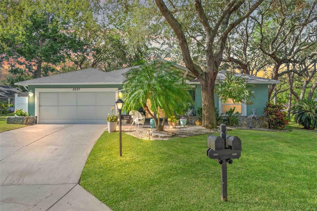 a view of a backyard with a garden