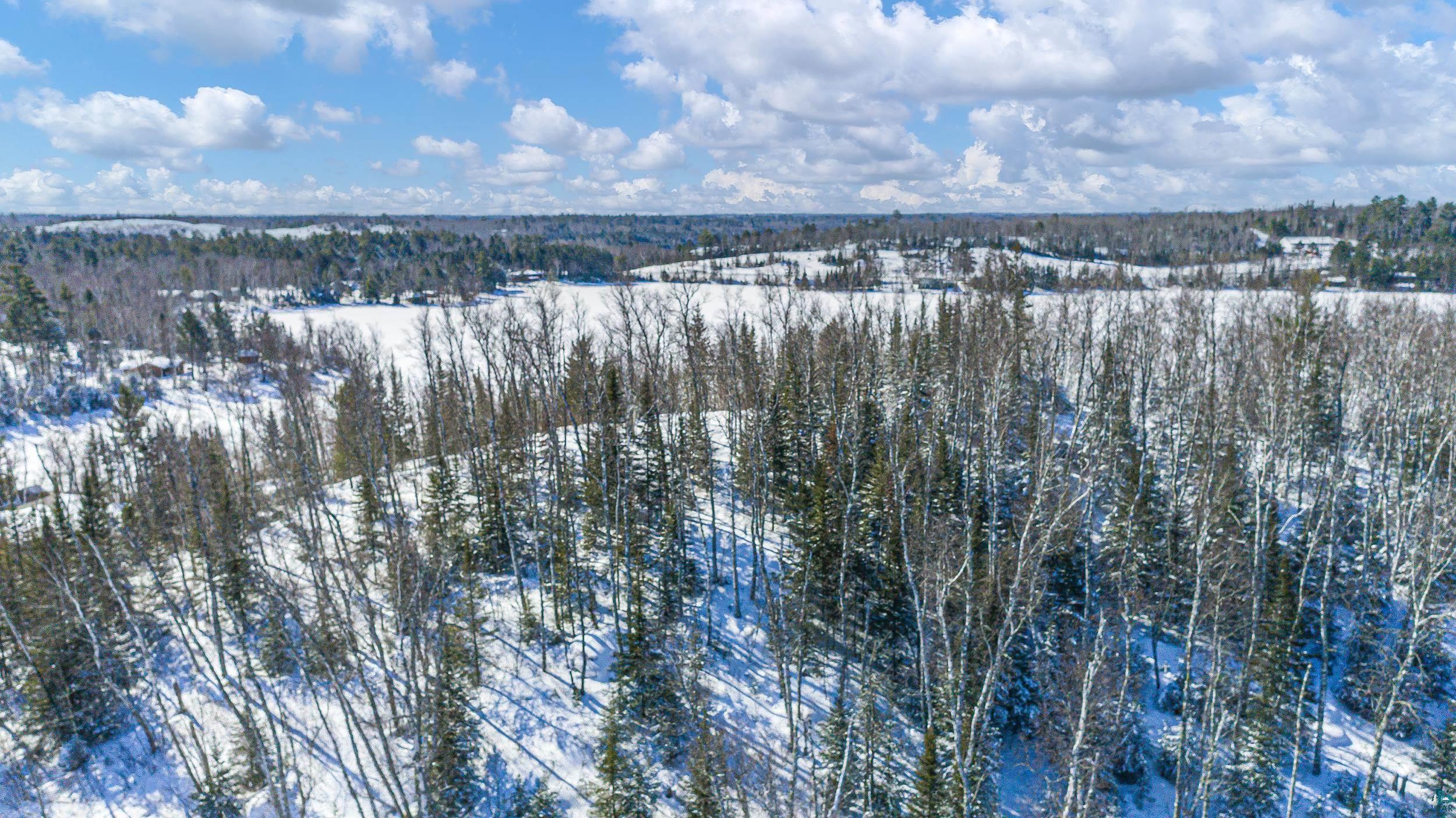 Moose Creek Trail