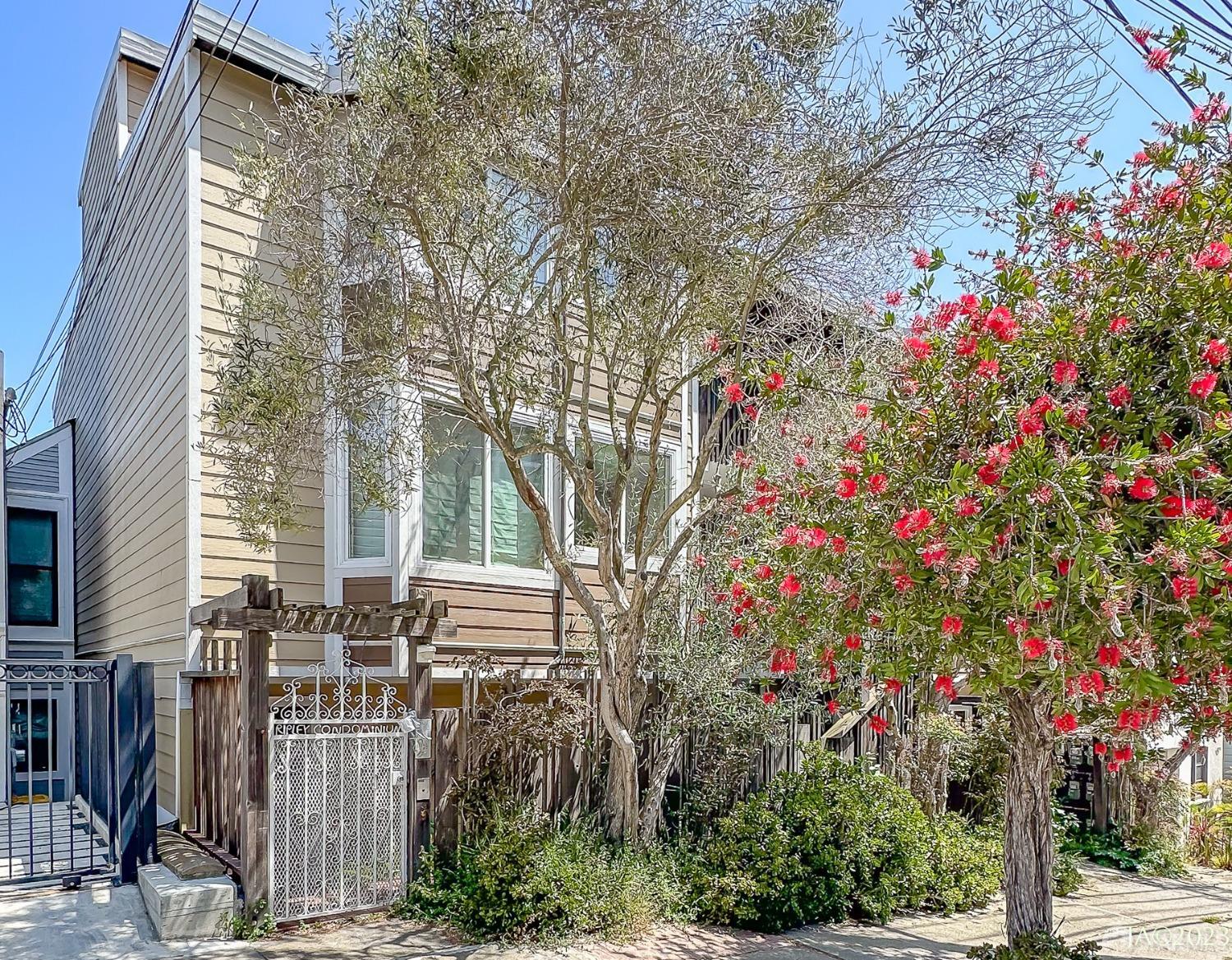 a front view of a house with a tree