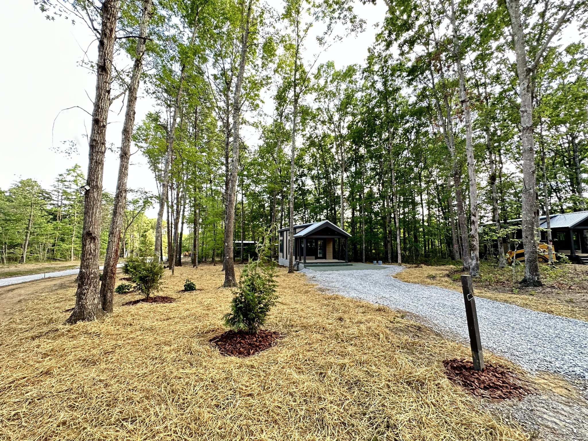 a view of a backyard with a tree