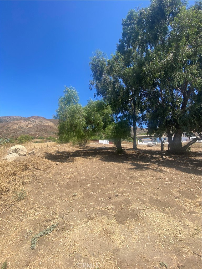 a view of outdoor space with trees