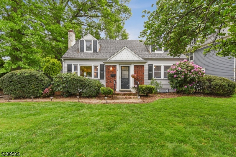 a front view of a house with a yard and potted plants