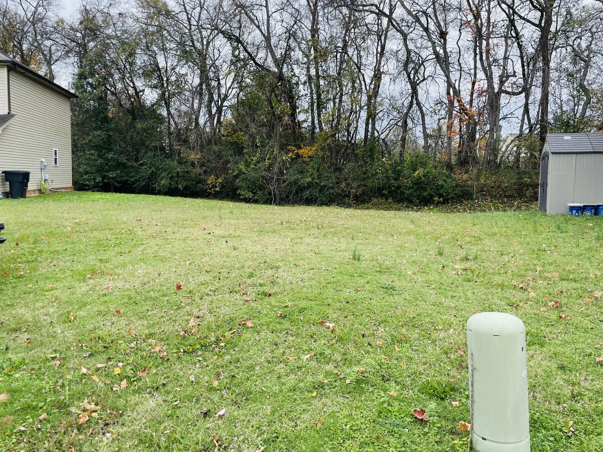 a view of outdoor space and yard