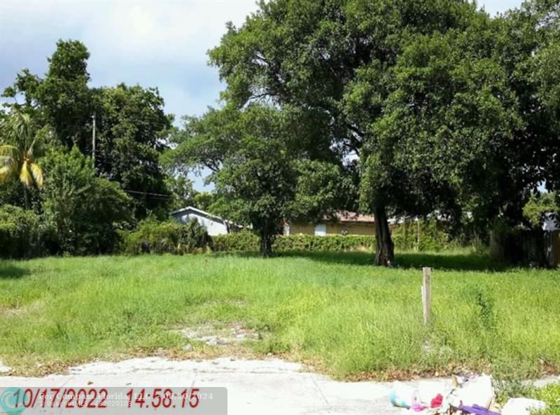 a view of a tree in a yard