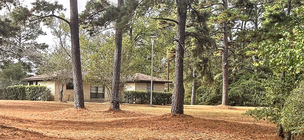 a view of a house with a tree in front