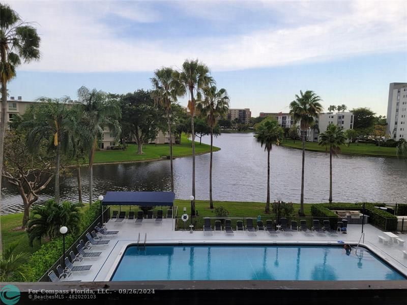 a view of a swimming pool and lounge chairs