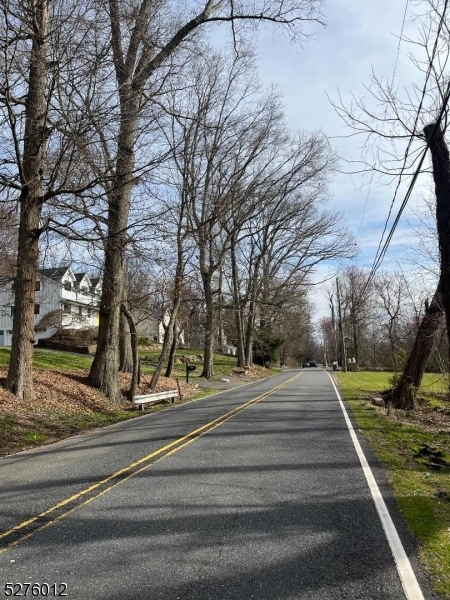 a park view with large trees