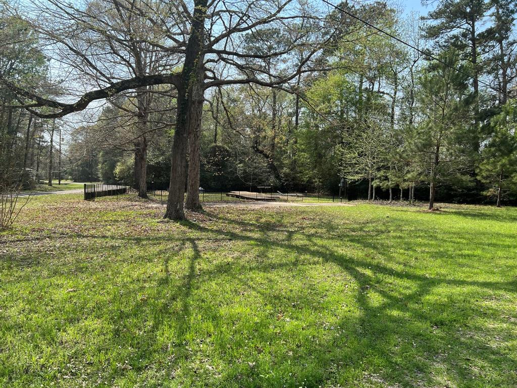 a view of a tree in a yard