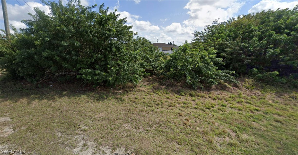 a view of a yard with plants and a bench