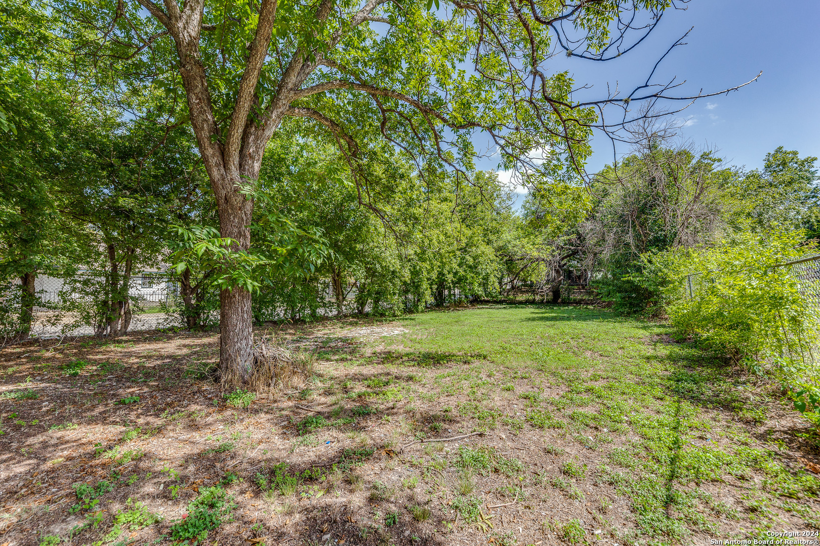 a view of a yard with a tree