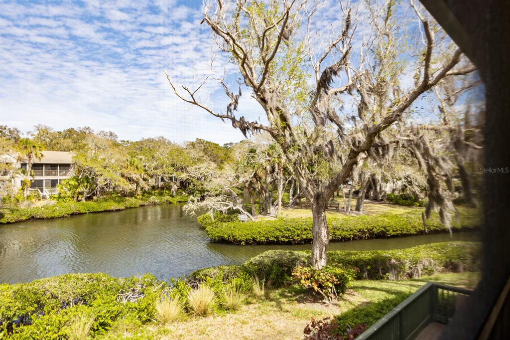 a view of lake view