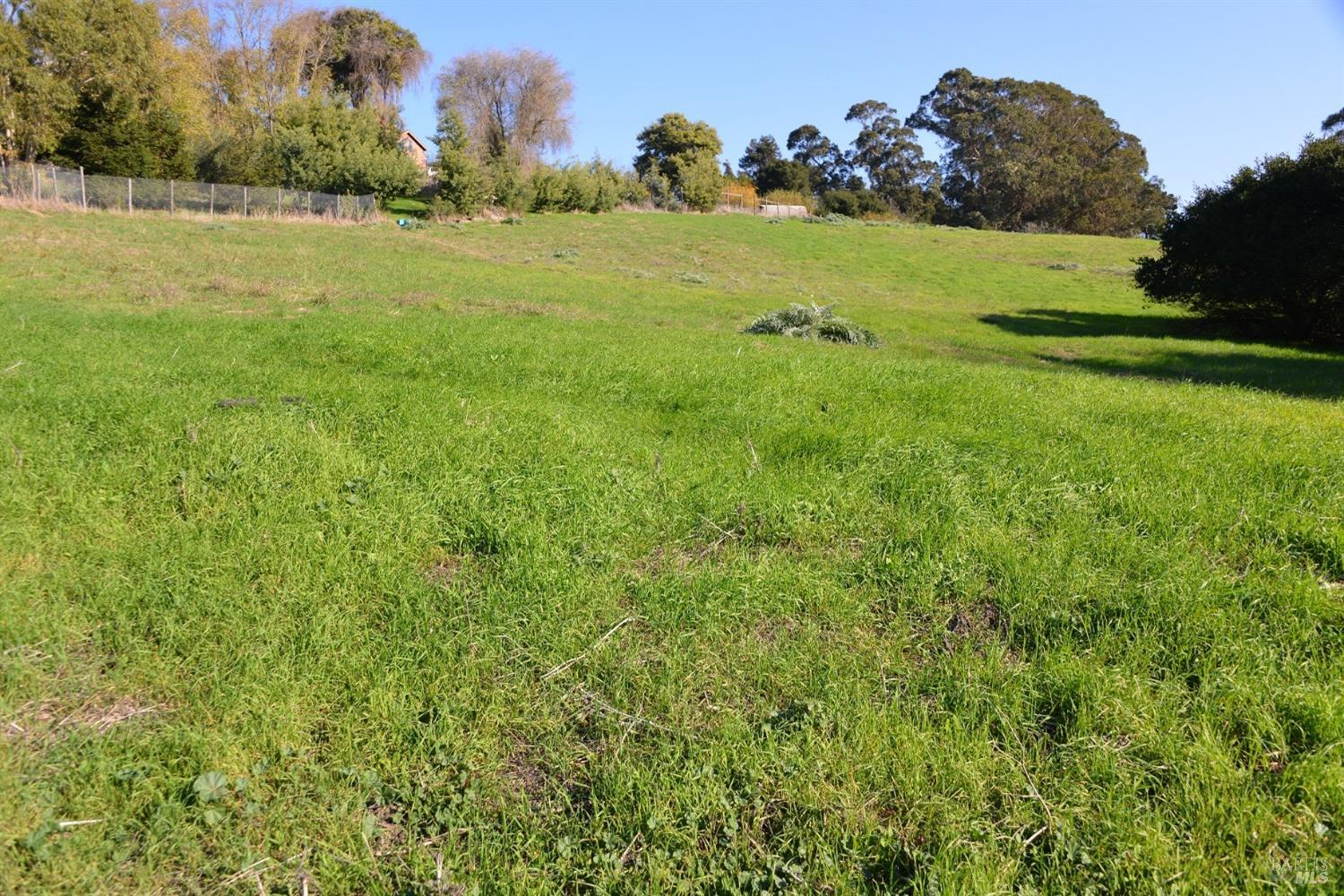 a view of a field with an ocean view