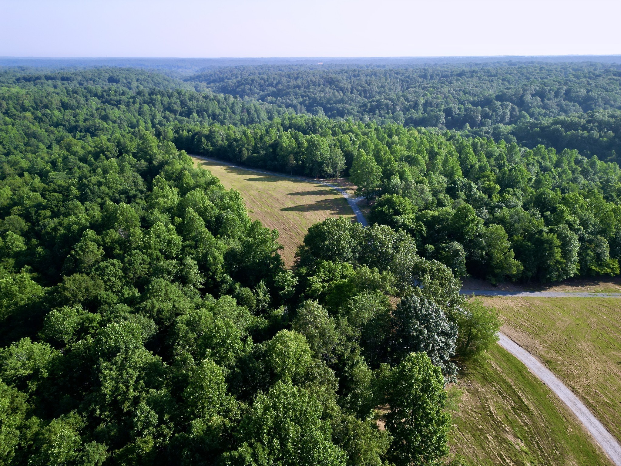 an aerial view of green landscape with trees and houses