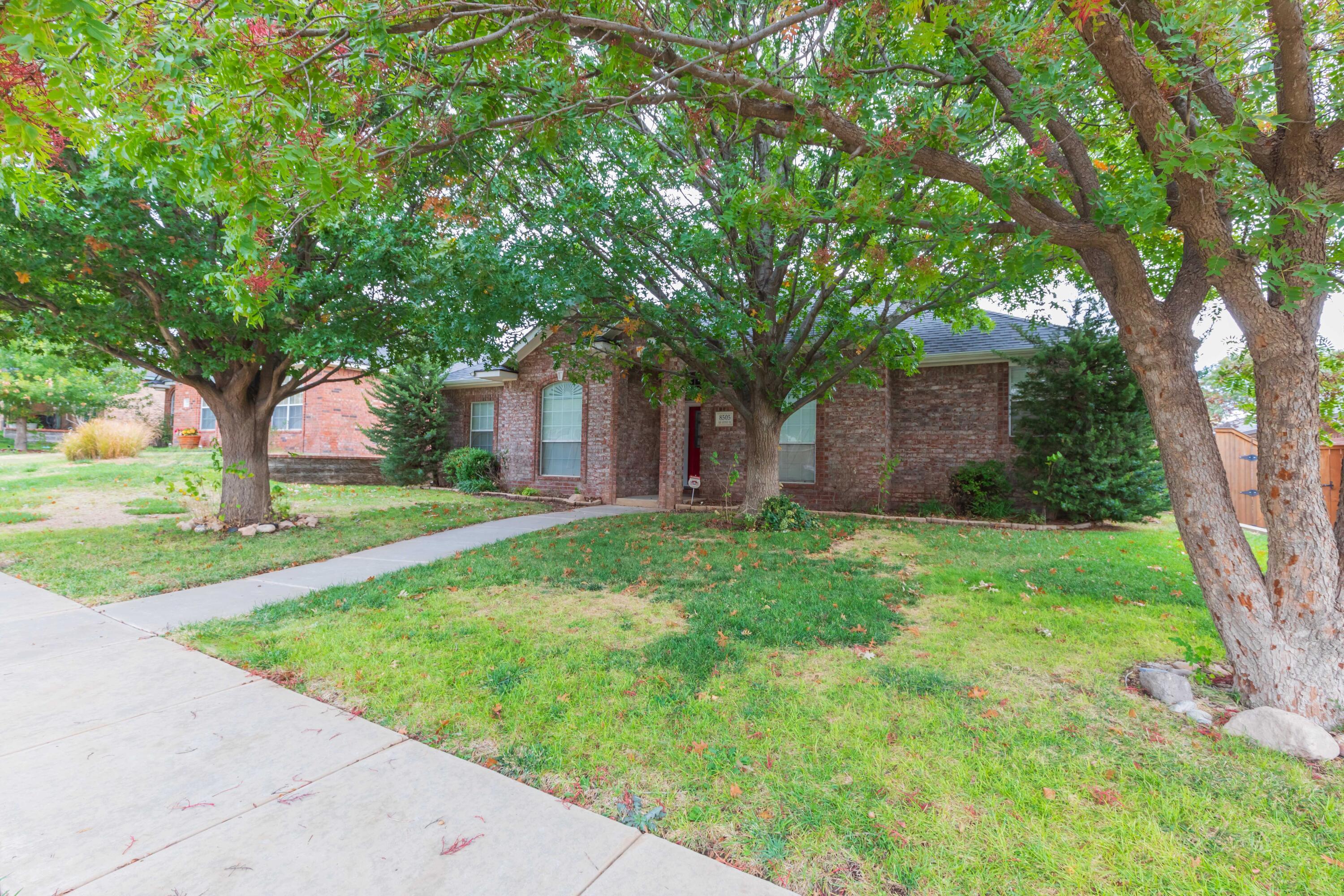 a backyard of a house with plants and large tree