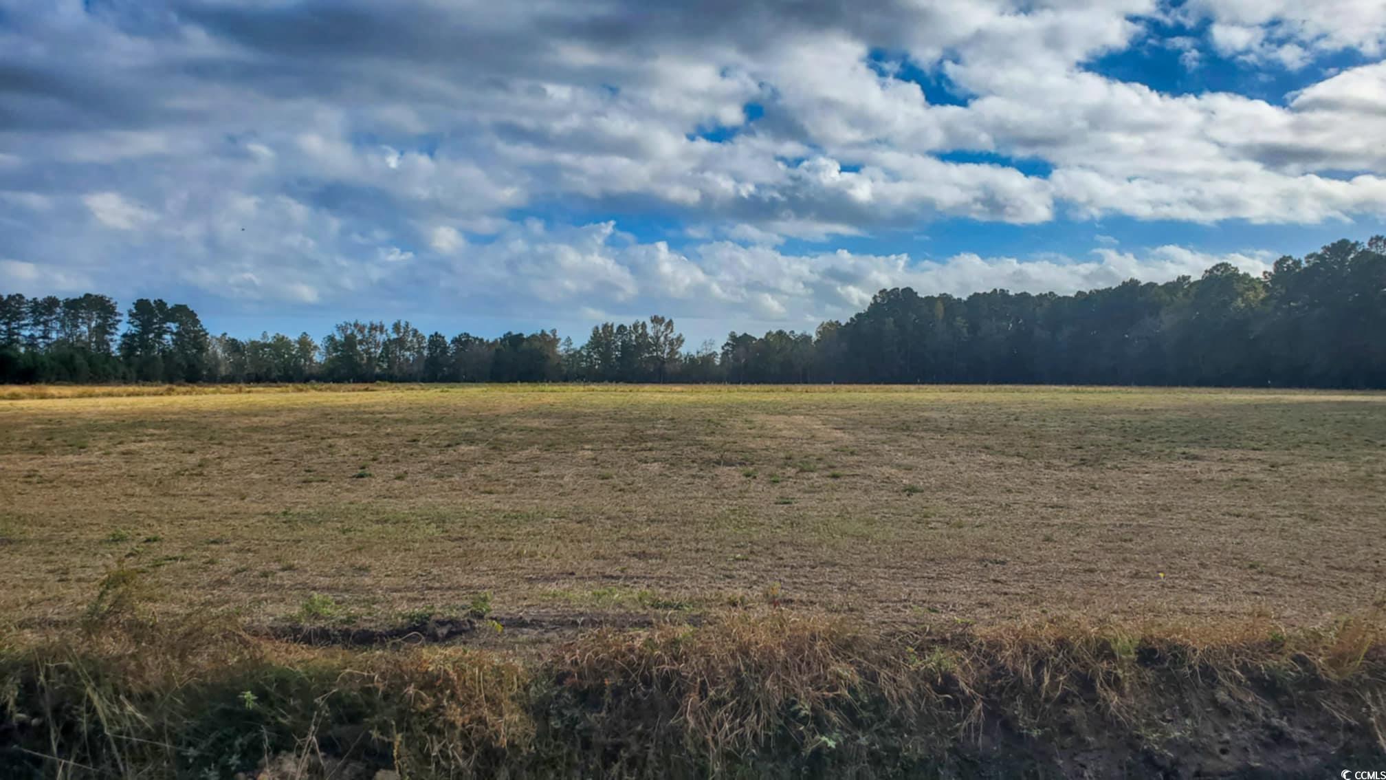 View of landscape featuring a rural view