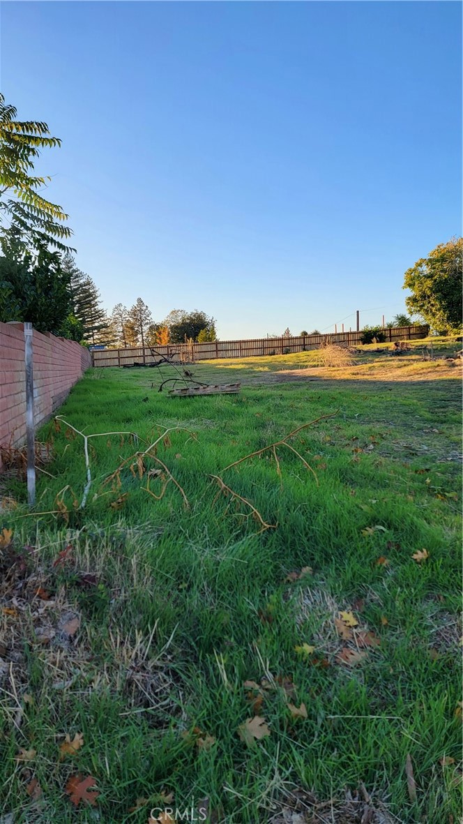 a view of a field of grass and trees