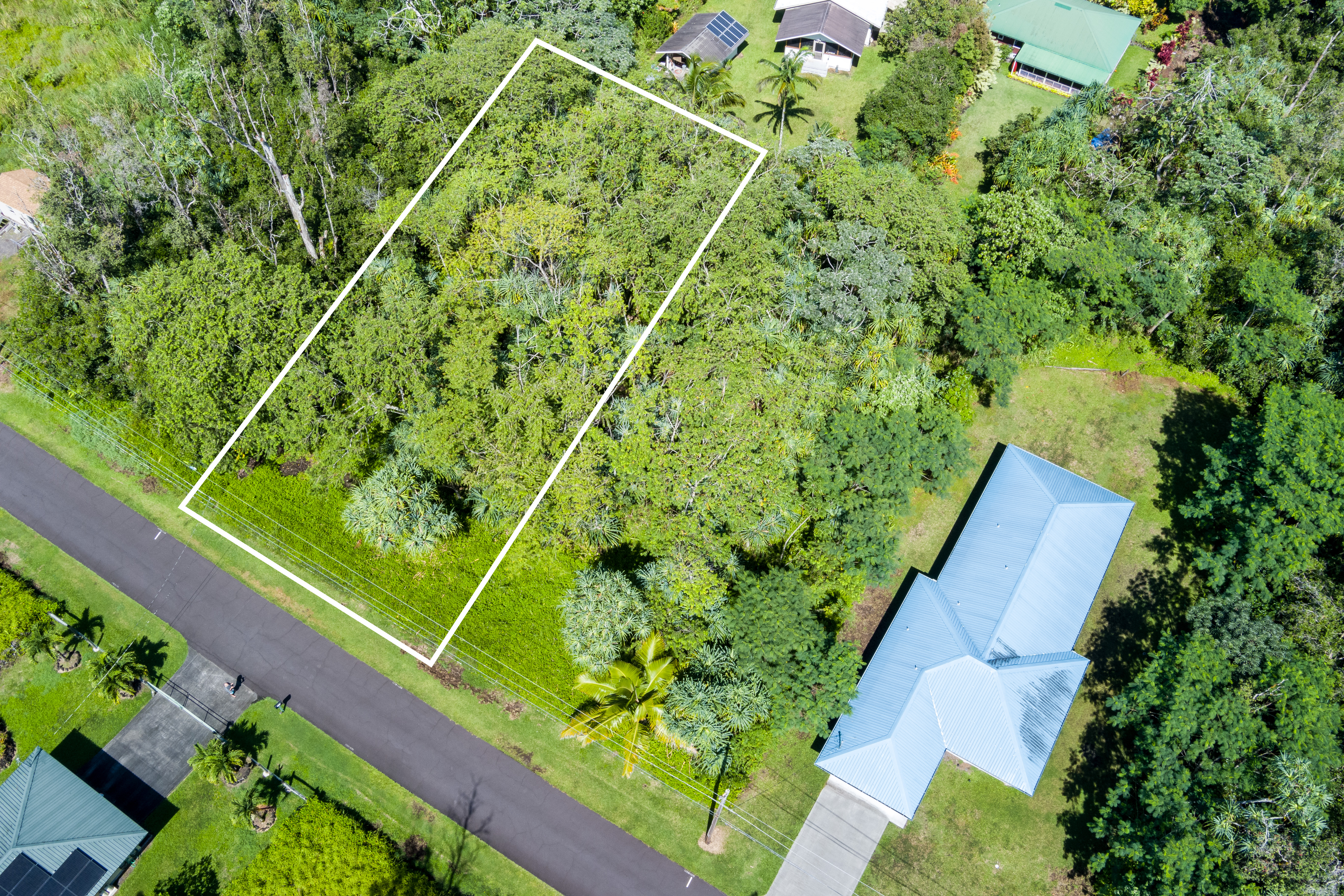 a view of a yard with plants