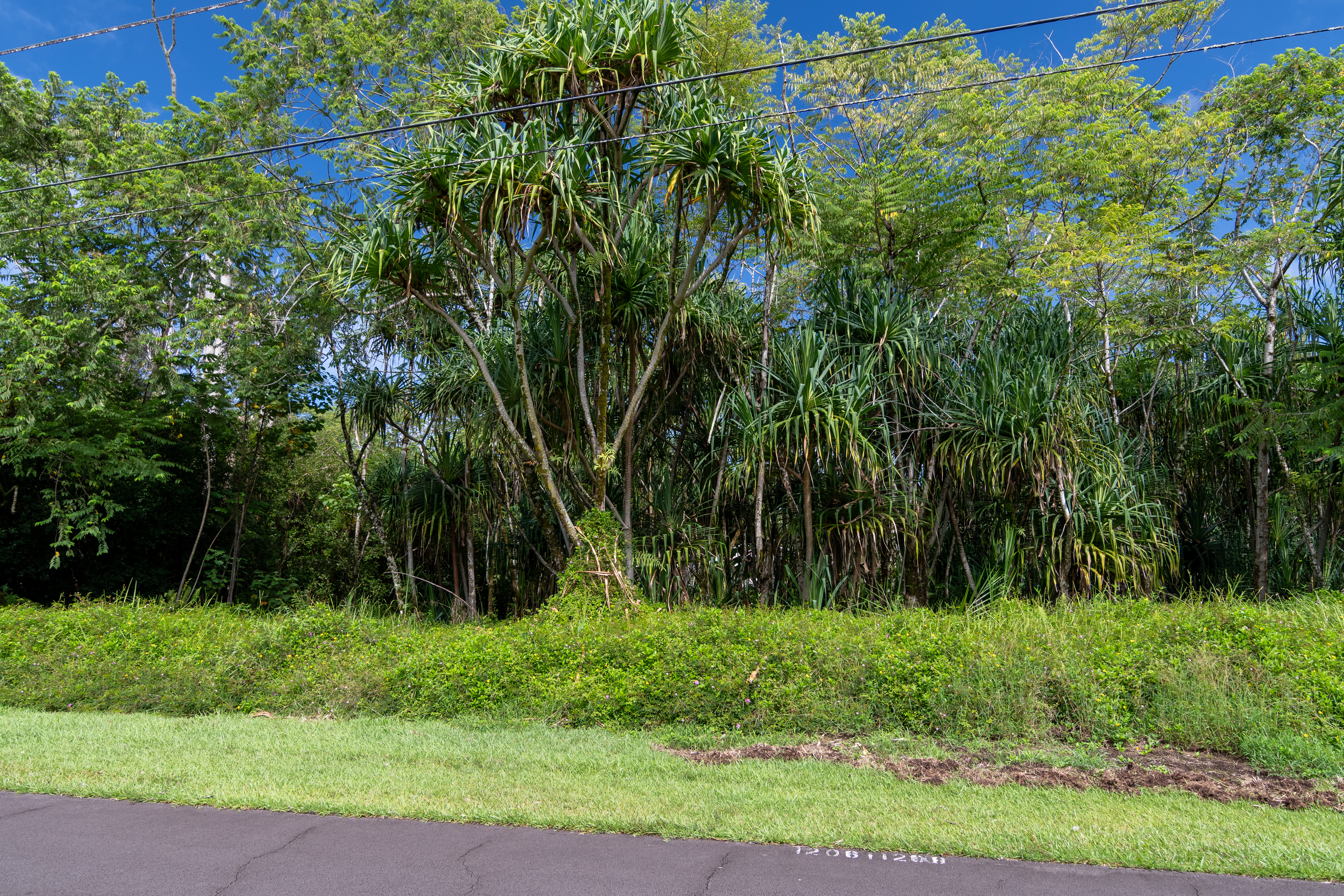 a view of backyard with green space