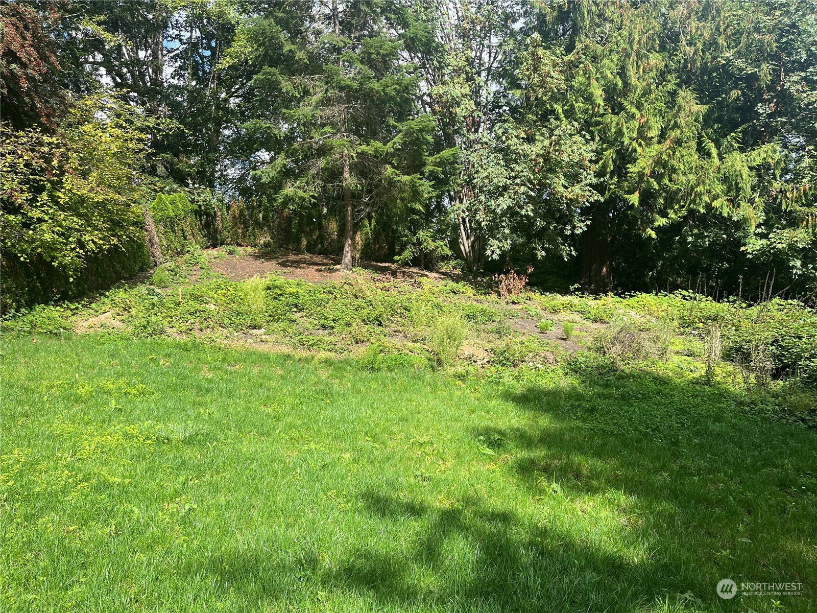 a backyard of a house with lots of green space