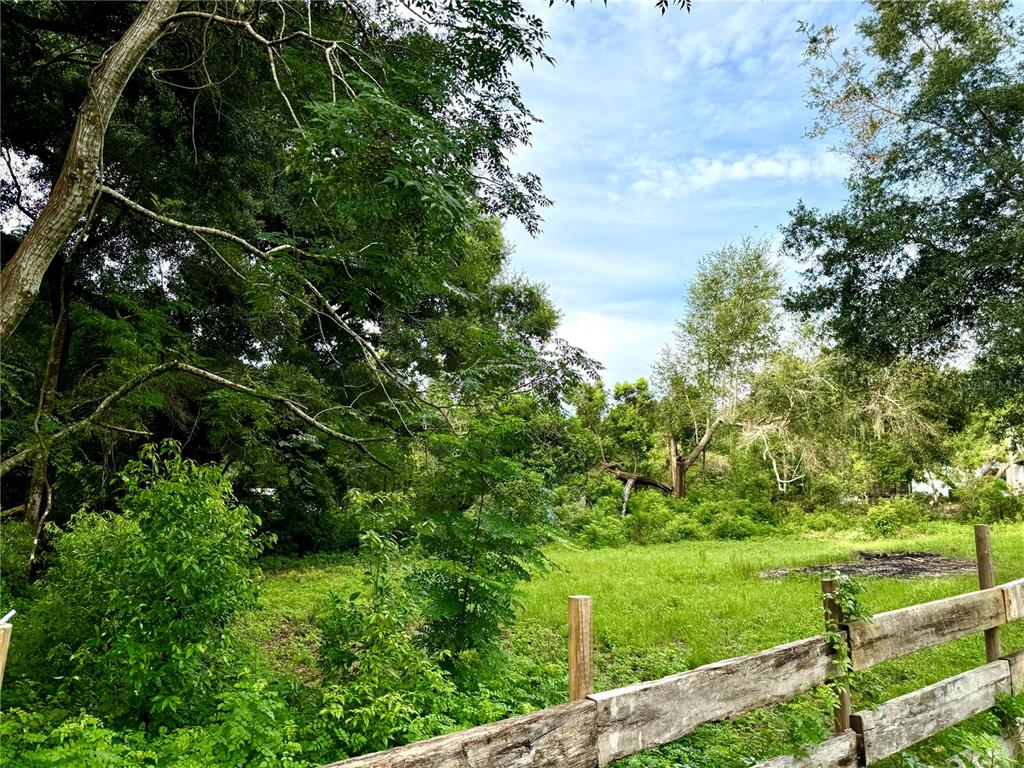 a yard with lots of green space