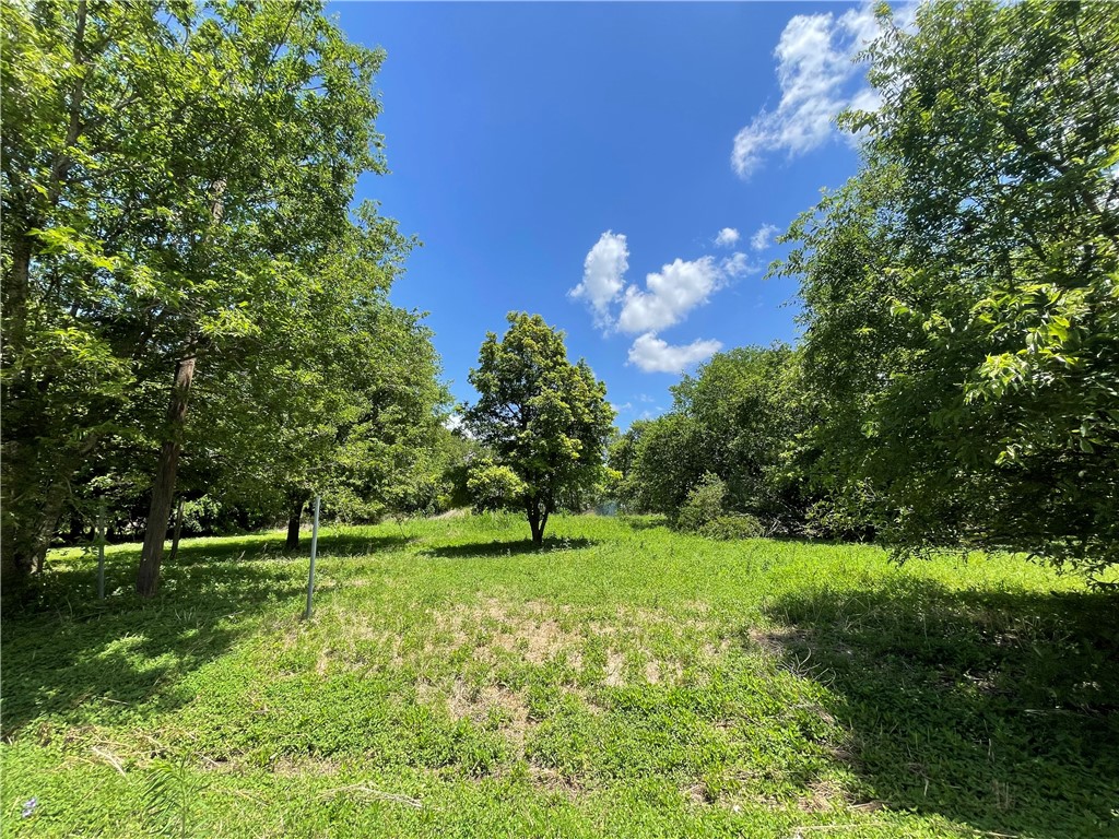 a grassy field with trees in the background