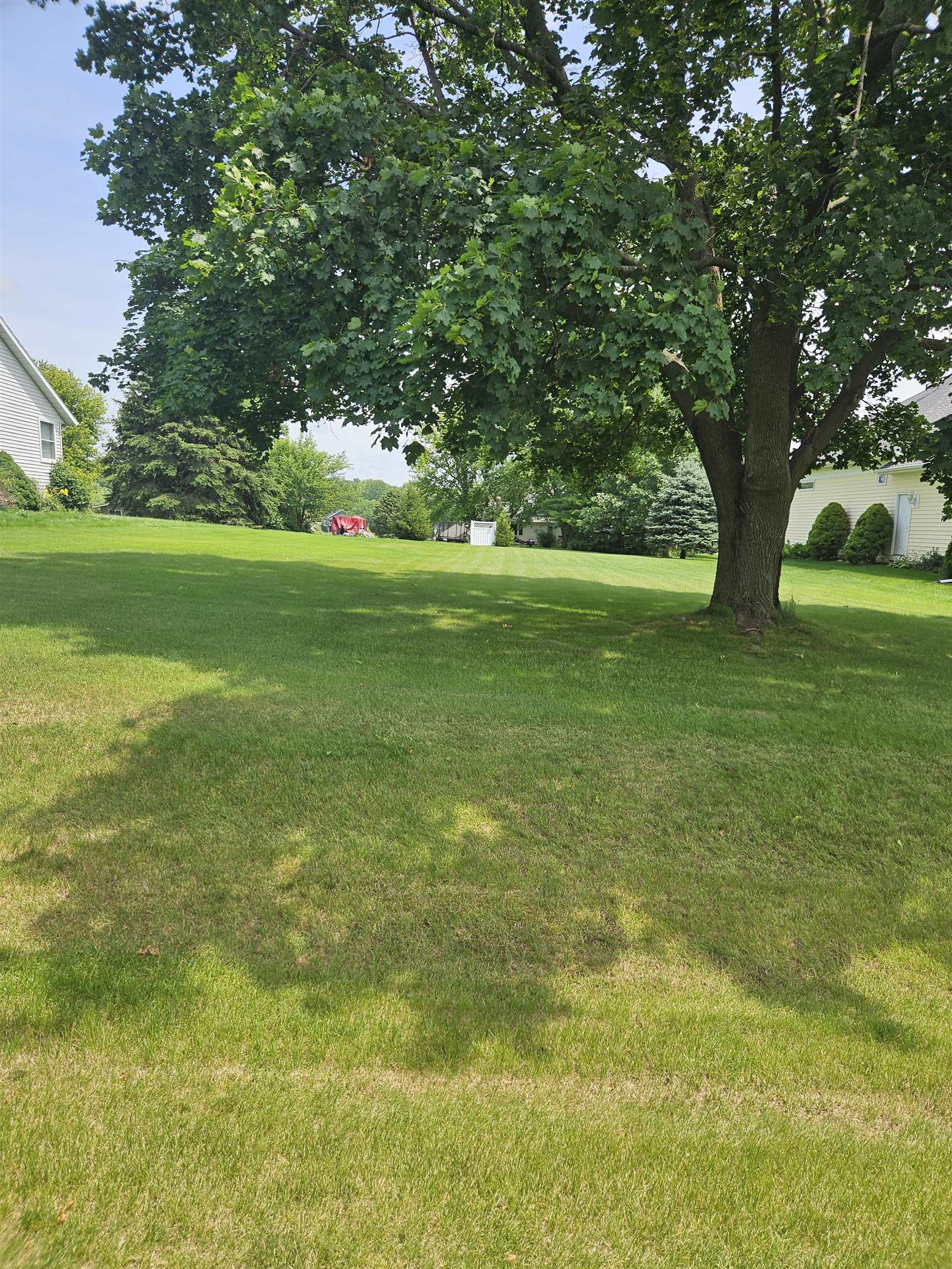 a view of yard with green space