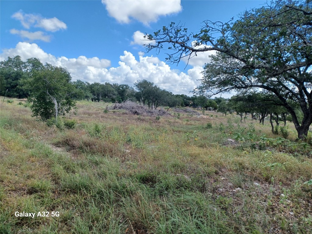 a view of a yard in a field