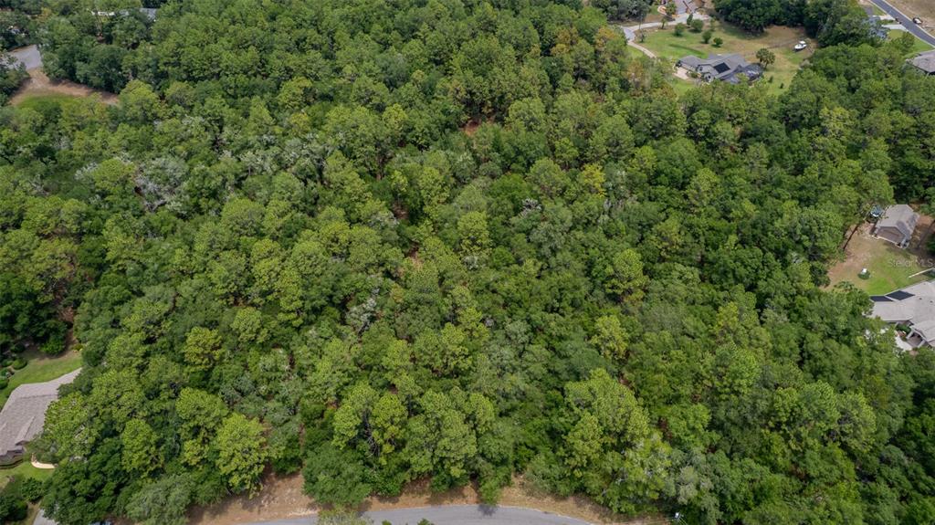 an aerial view of residential house with outdoor space and trees all around