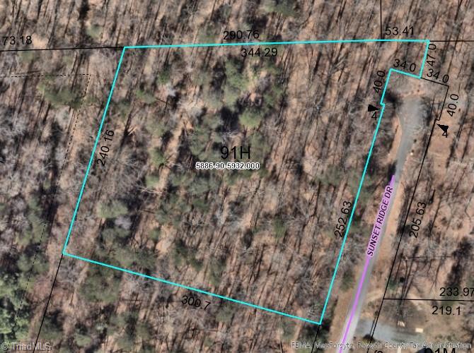 Approximate boundaries from Forsyth County GIS