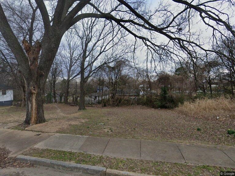 a view of a yard with a large tree