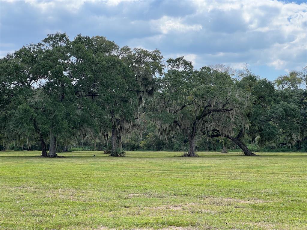 More beautiful trees on good flat land.