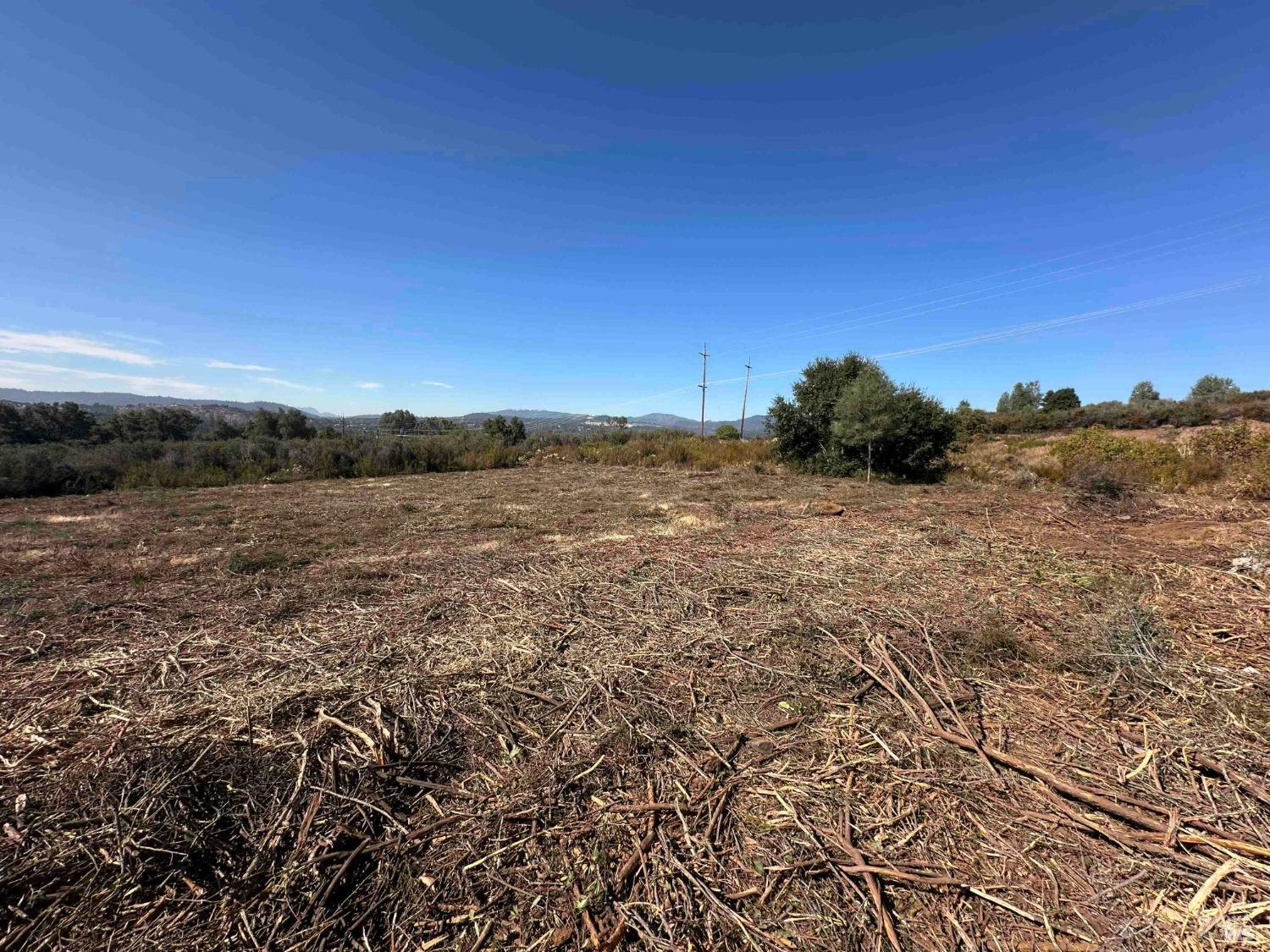 a view of a field of grass and trees