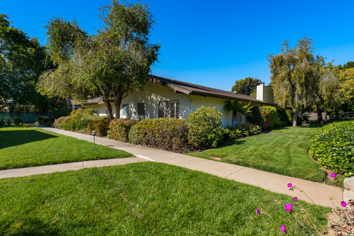 a view of a back yard of the house