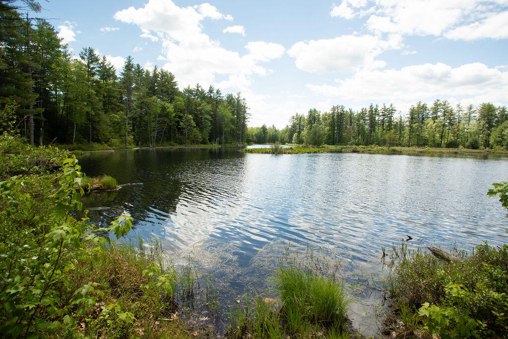 Woodland Pond Estates, Lot 1