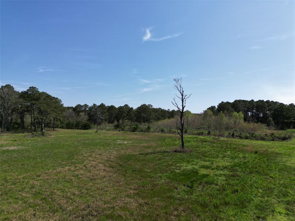 a big yard with lots of green space and mountain view in back