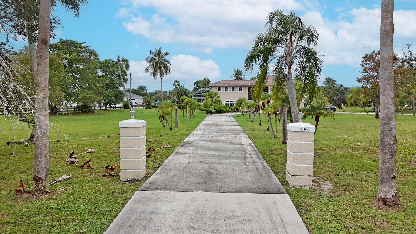 a view of a park with plants