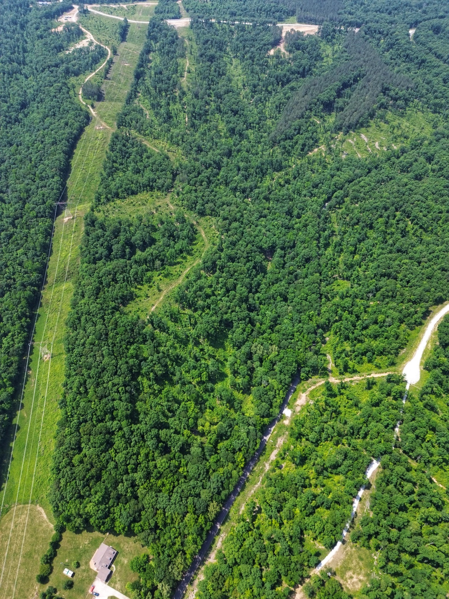 a view of a lush green forest with lots of trees