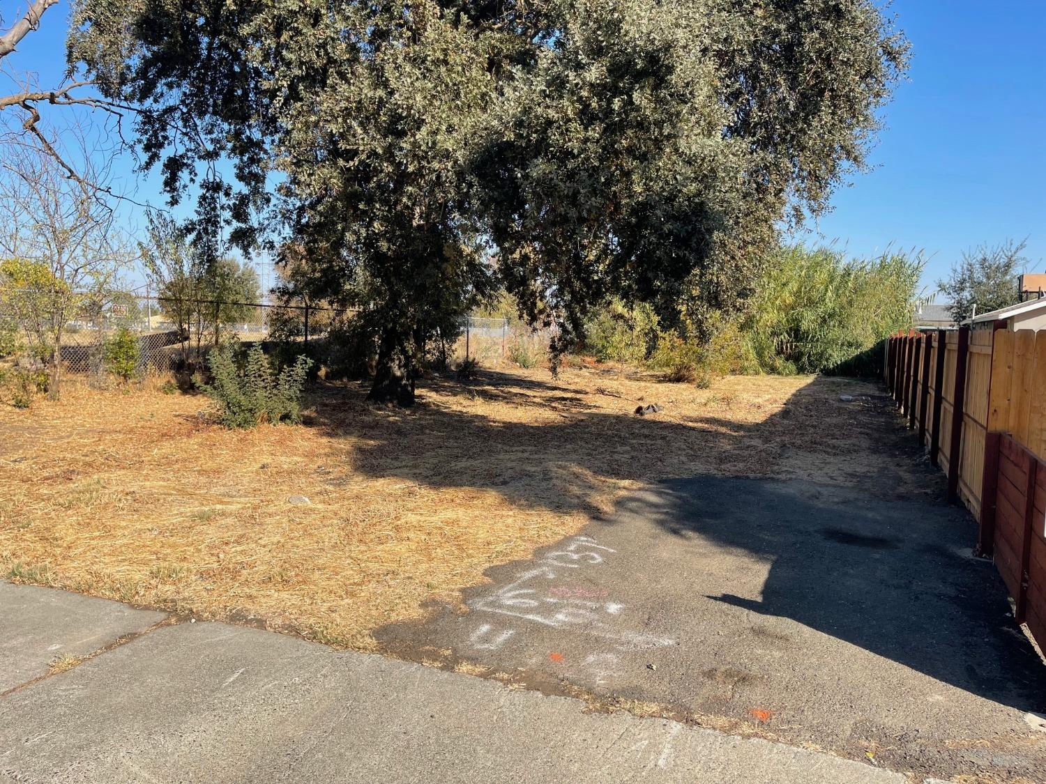 a view of dirt yard with a large tree