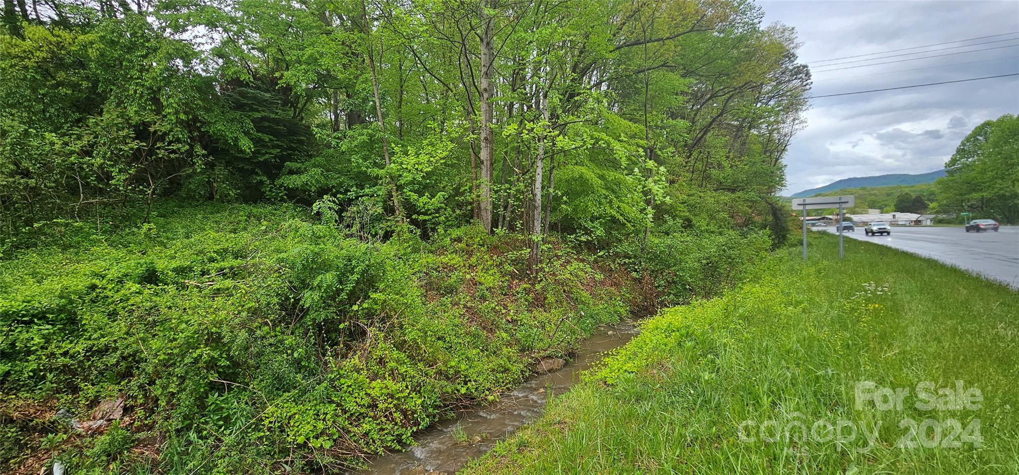 a view of a garden