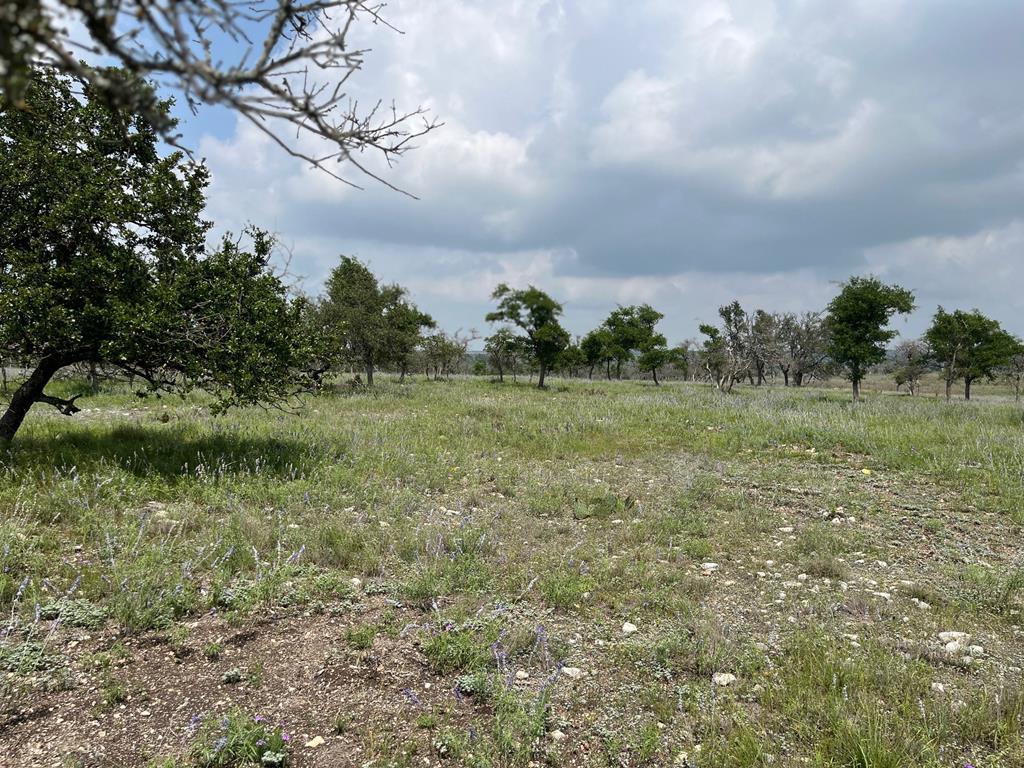 a view of a field with trees in background