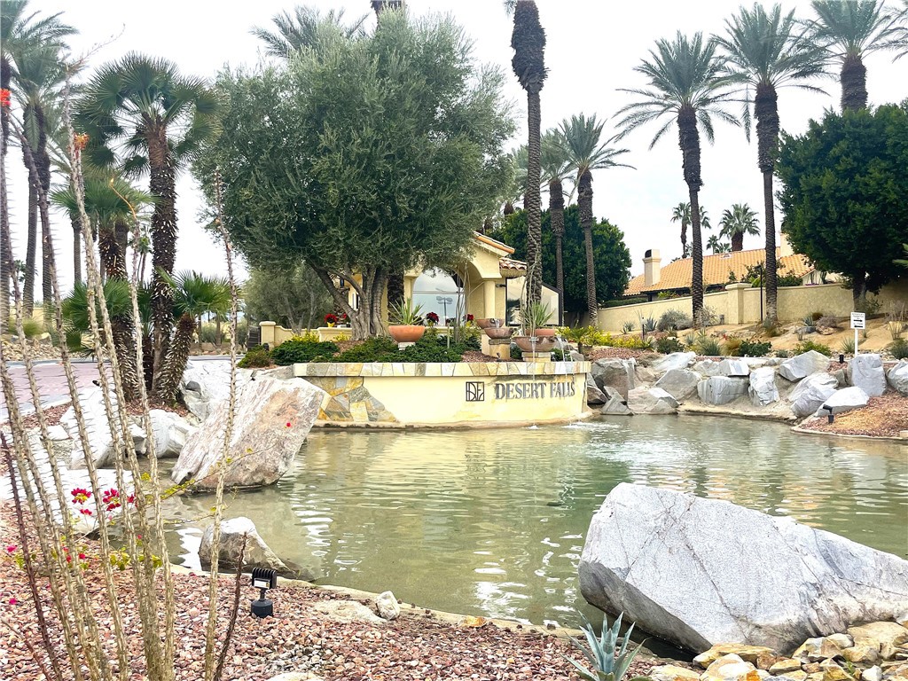 a view of a lake with palm trees