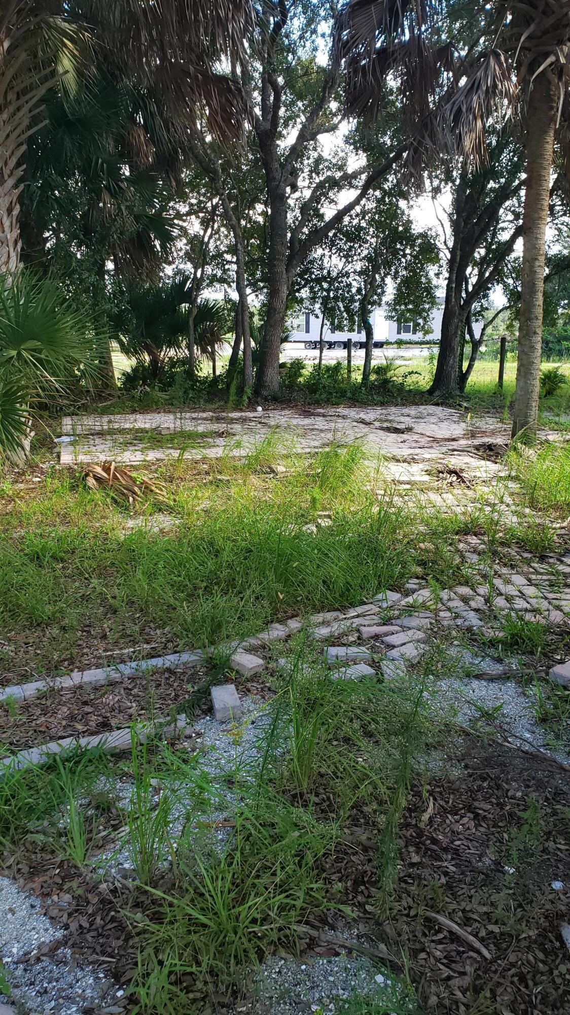 a view of a park with lots of trees